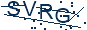 Captcha SVRG