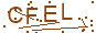 請輸入驗證碼