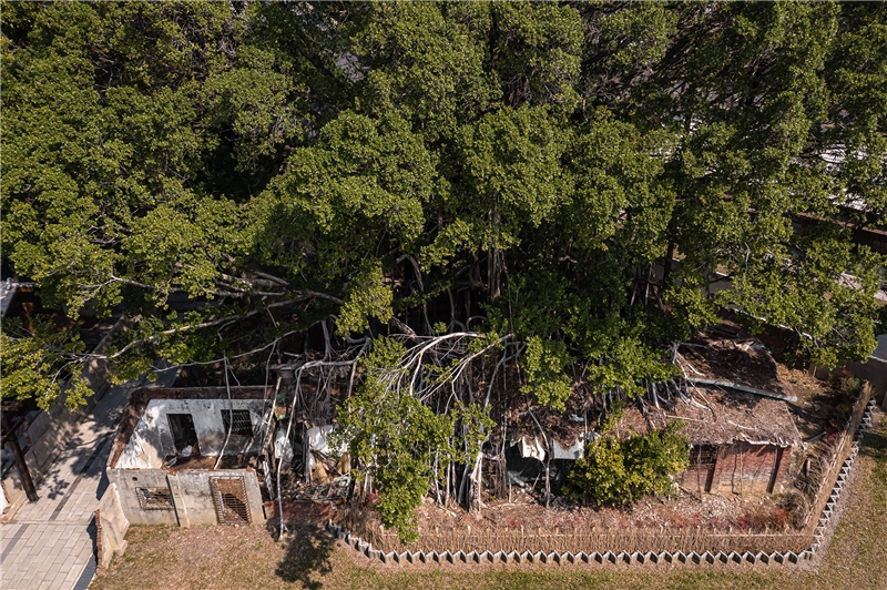 臺中刑務所官舍修復後空拍圖1