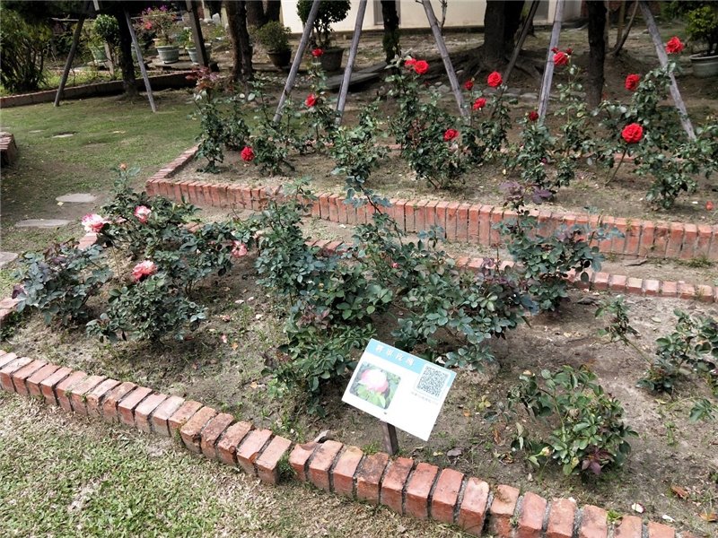 孫立人將軍故居花園