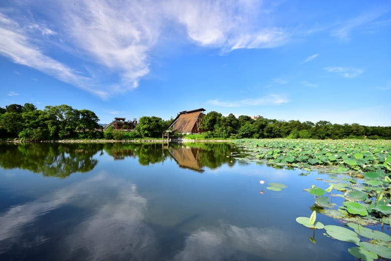 東勢林業文化園區